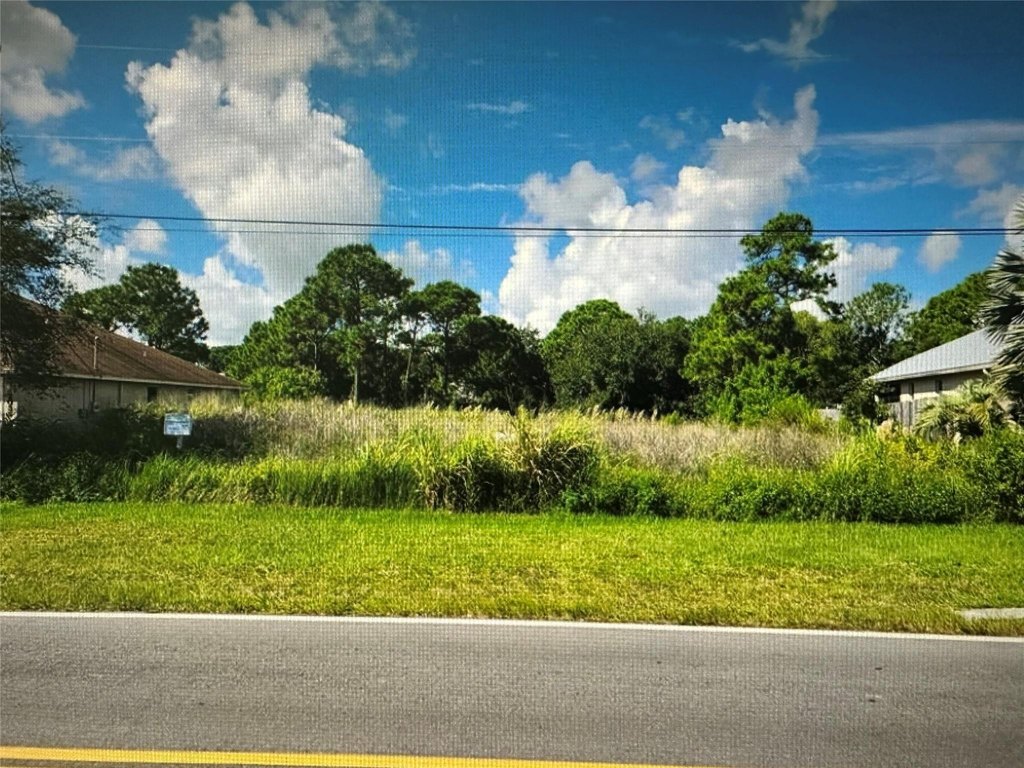 Picture 3
