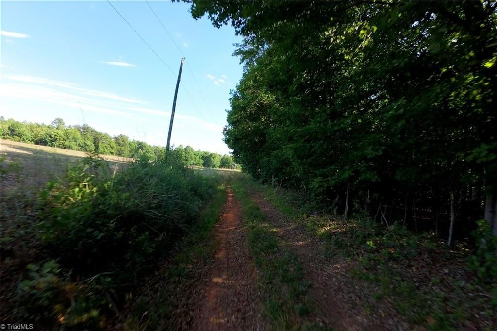 Picture 13