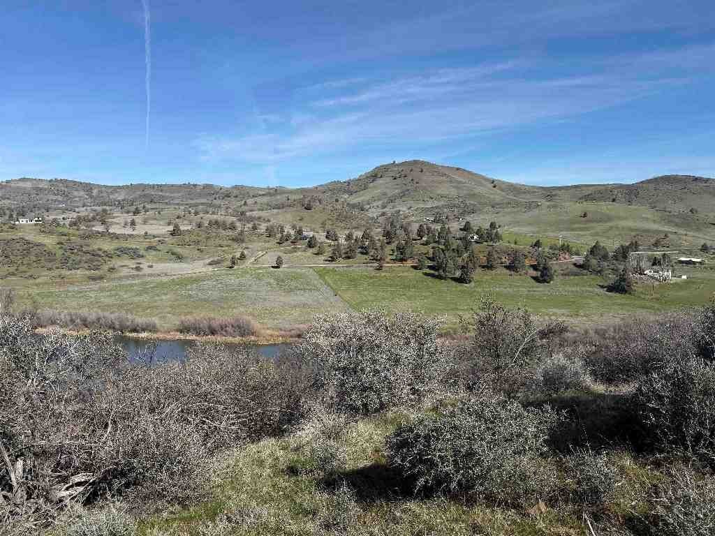 Picture 7