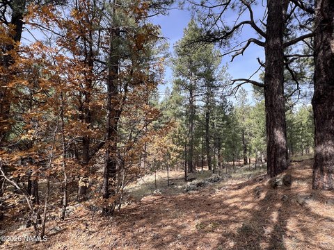 Land, Parks, AZ