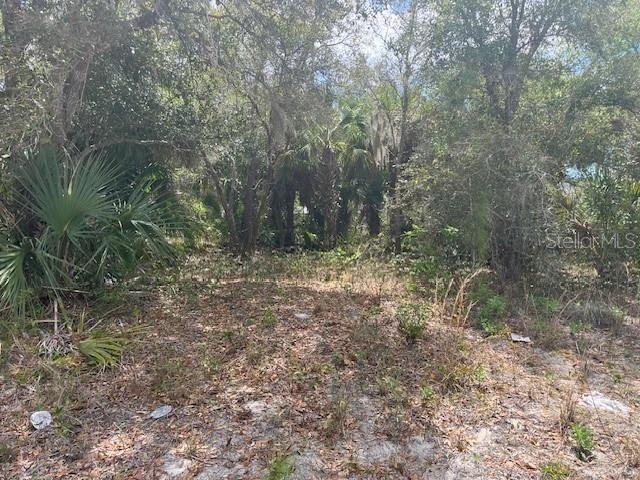 Residential Lot in North Port