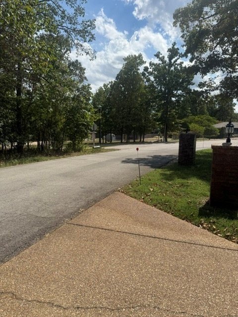 Picture 10