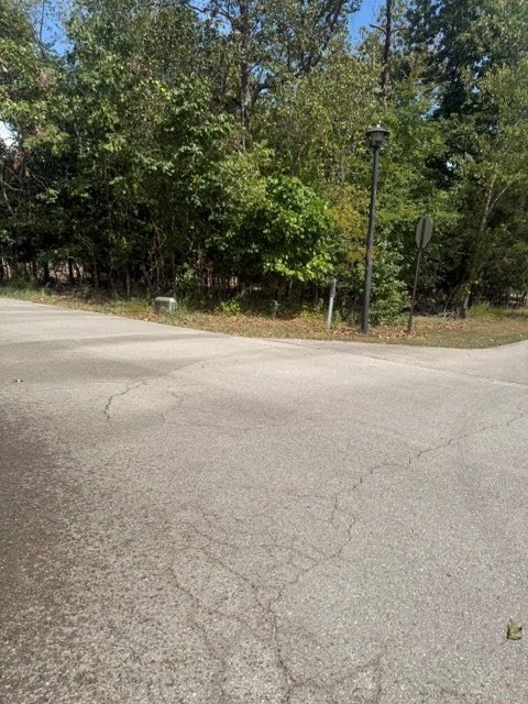 Picture 11