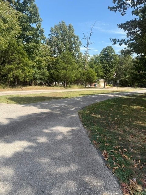 Picture 13