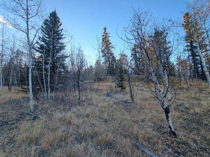 Picture 17