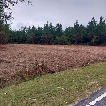 Marion, SC Land Opportunity