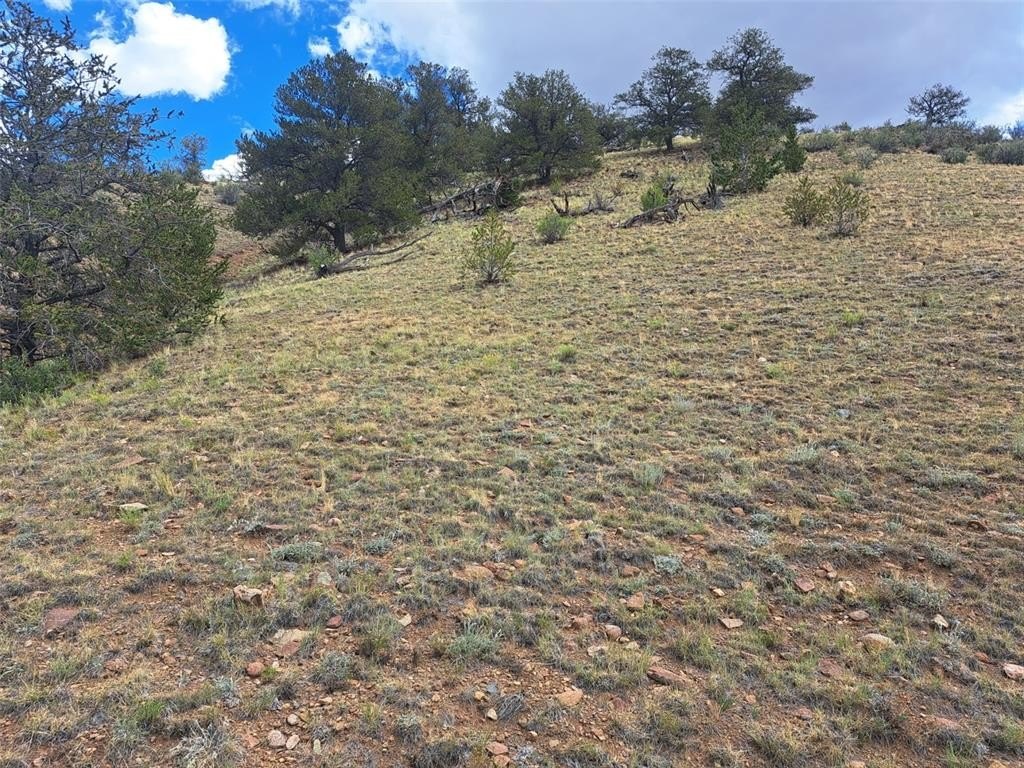 Picture 18
