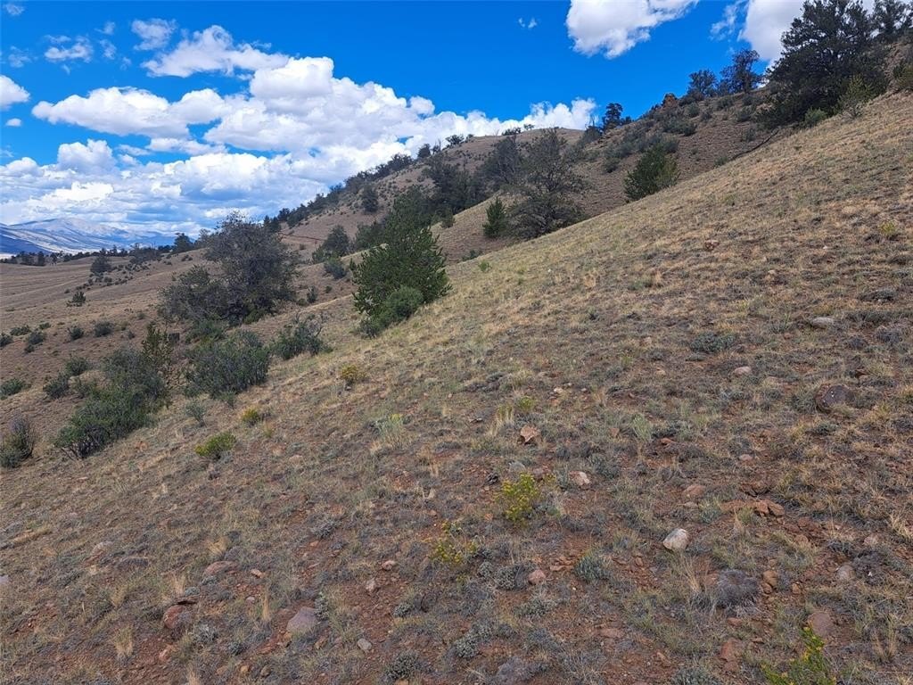Picture 21