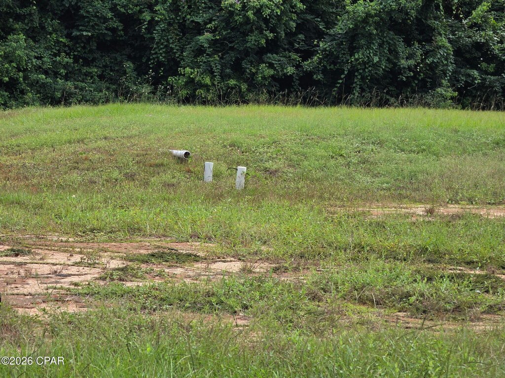 Picture 6