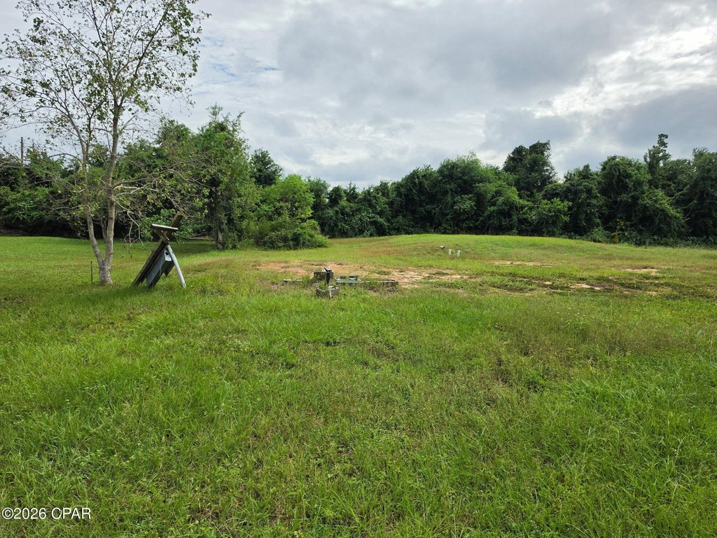 Picture 5