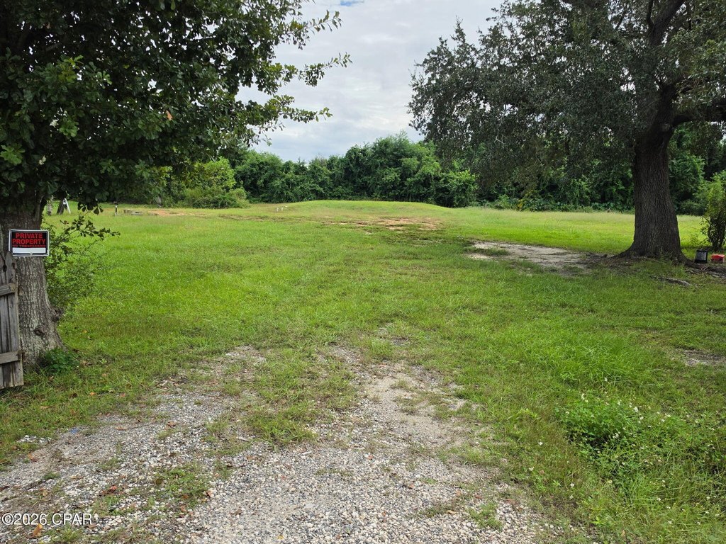 Picture 3