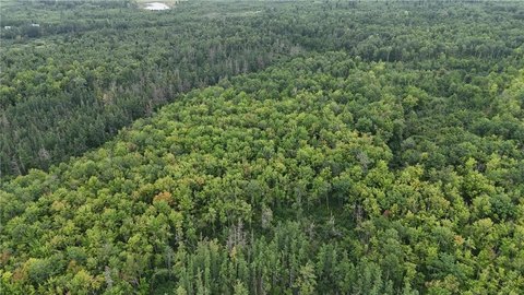 Dairyland Twp Wooded Land