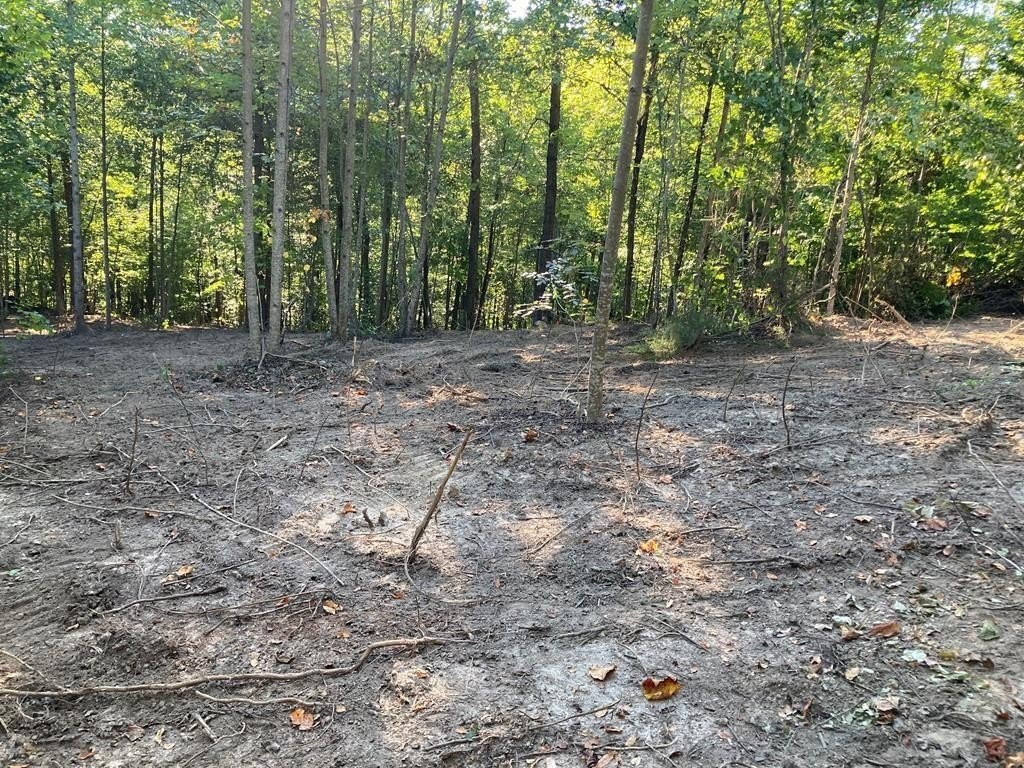 Picture 12