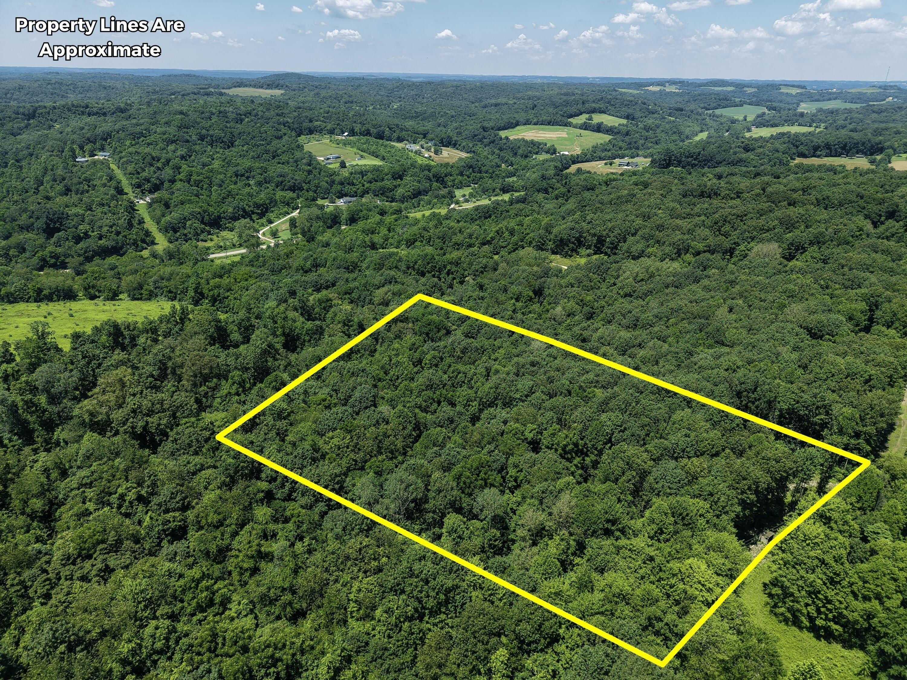 Coshocton, OH Wooded Land