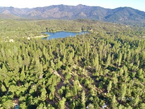 Vacant Land, Hayfork, CA
