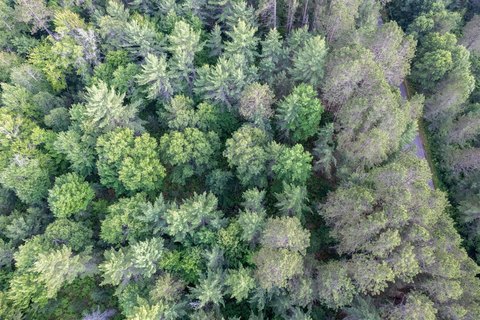 Eagle River Acreage for Sale