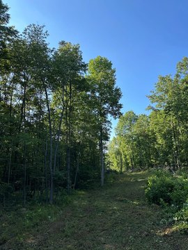 Scenic Mountain Land in Wilder