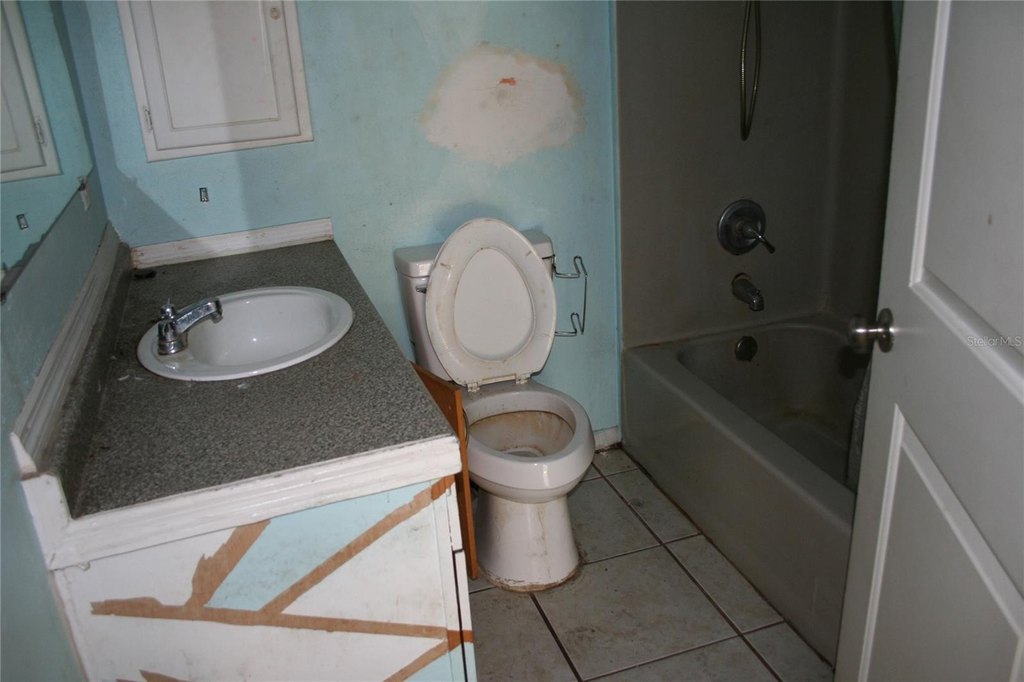 Picture 17