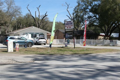 Commercial Sale, SALT SPRINGS, FL
