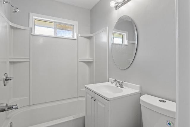 Picture 14