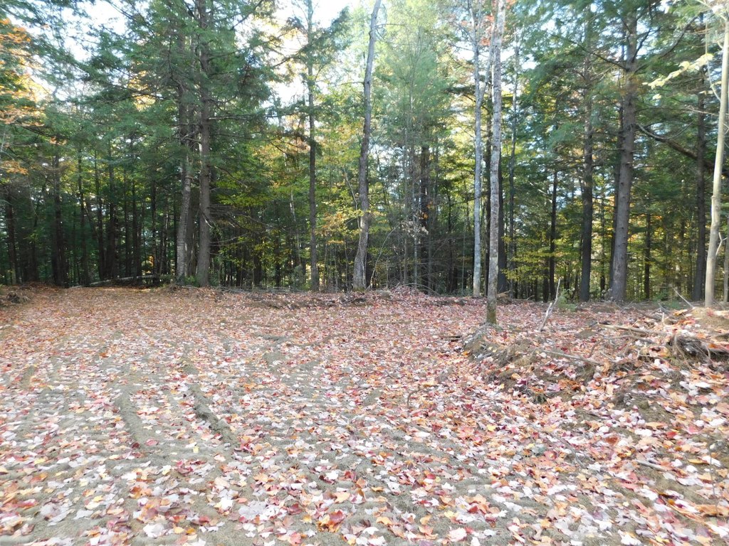 Picture 12