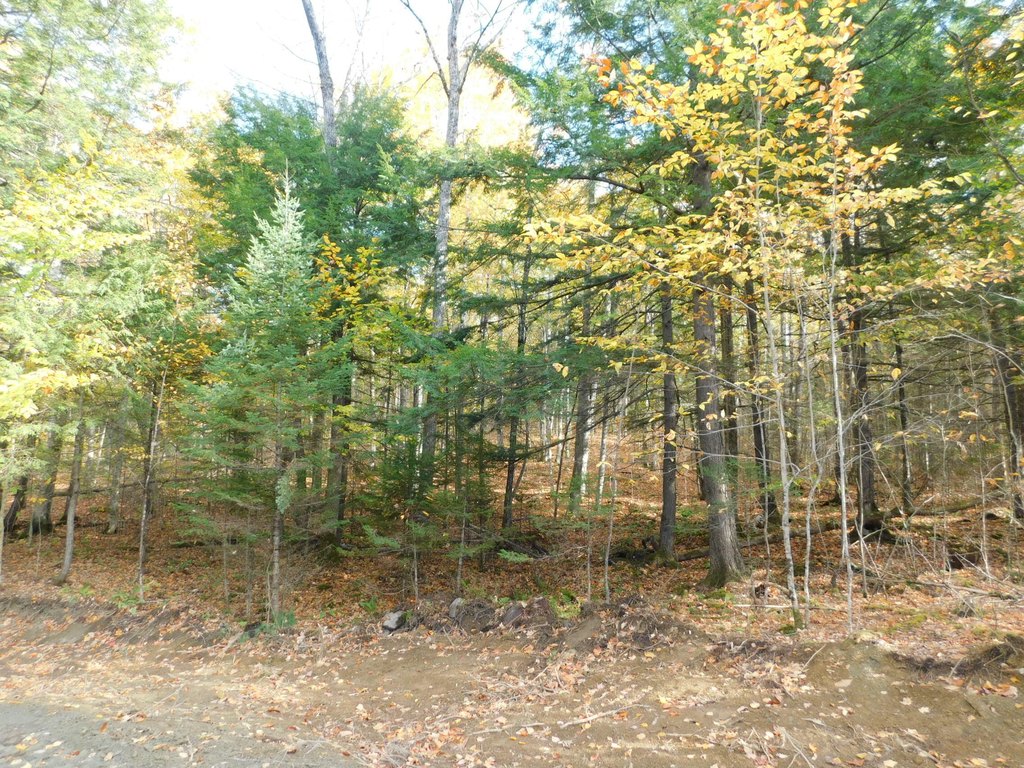 Picture 17