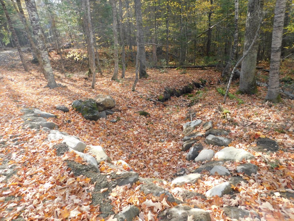 Picture 9