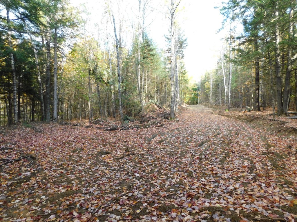 Picture 15
