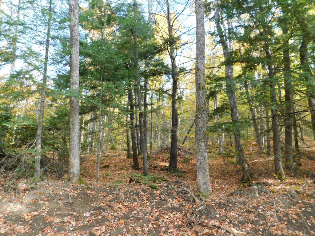 Picture 19