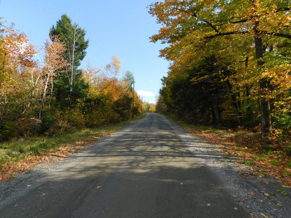 Picture 21