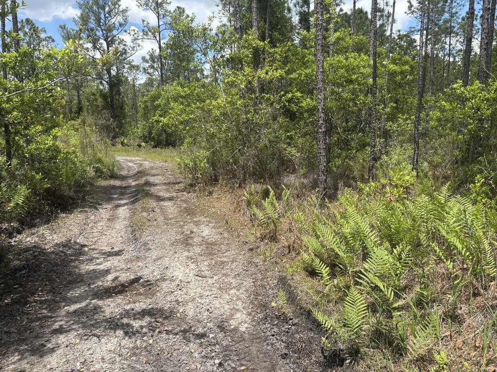 Picture 2