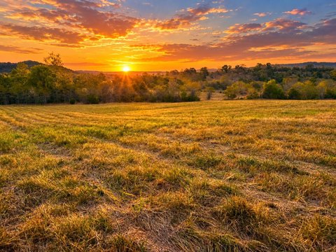 Land, Eagle Rock, MO