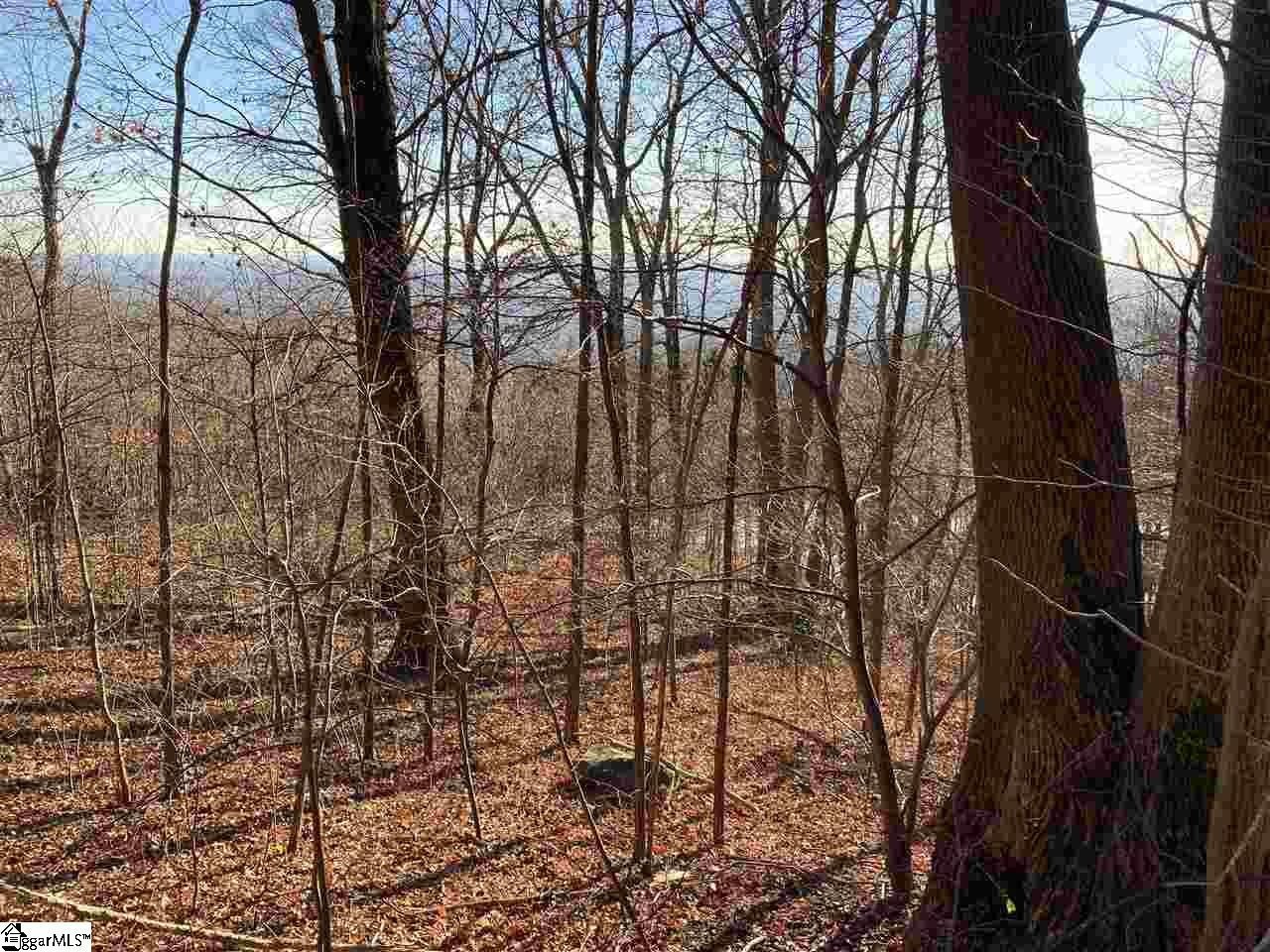 Landrum Homesite with Seasonal Views