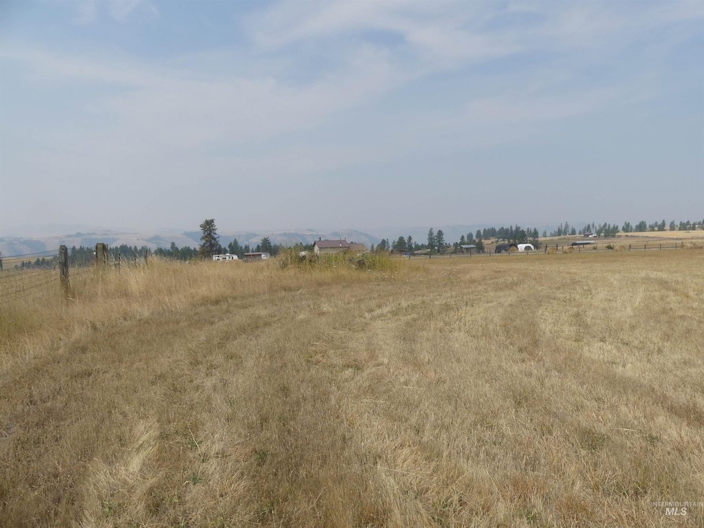 Picture 29