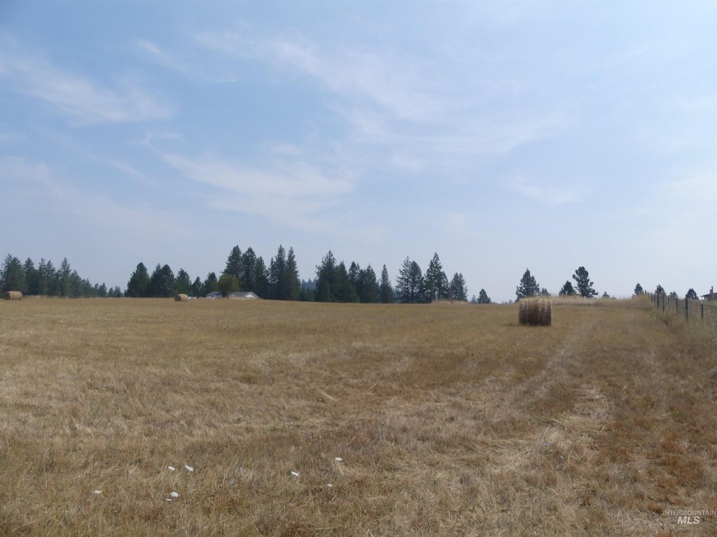 Picture 34