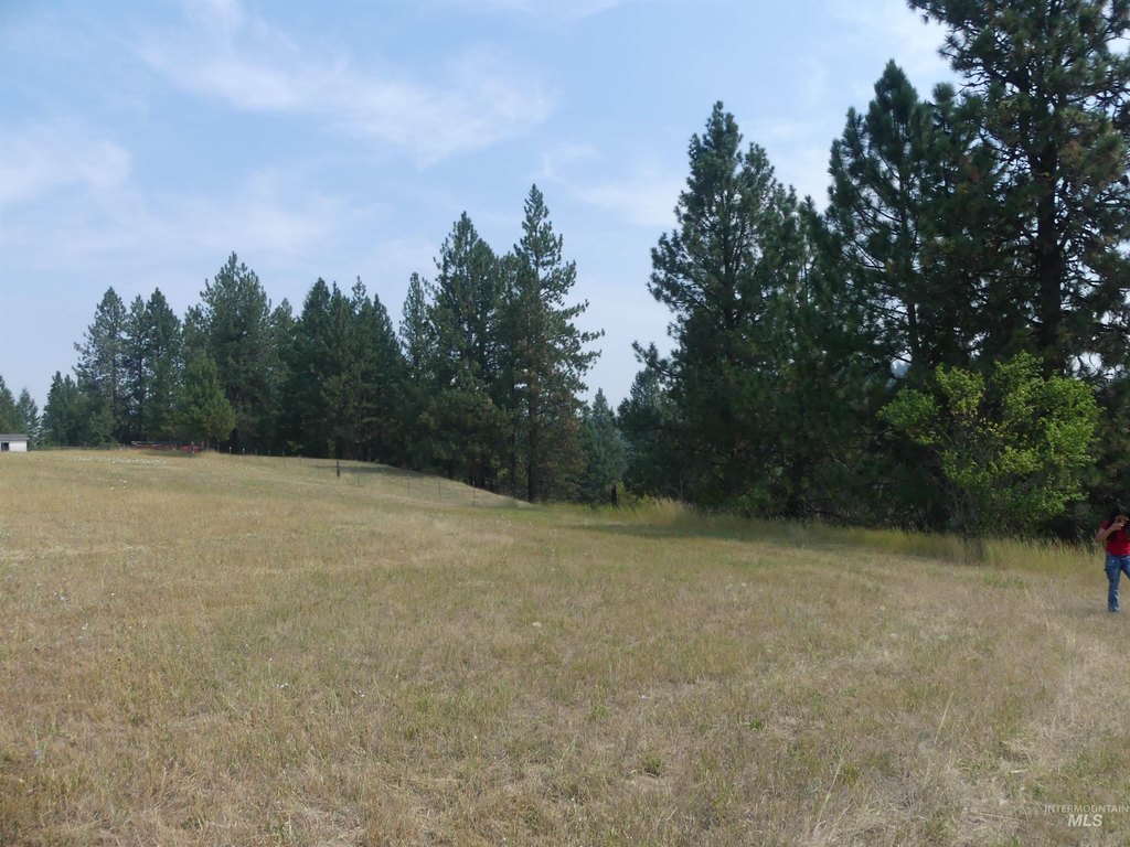 Picture 25