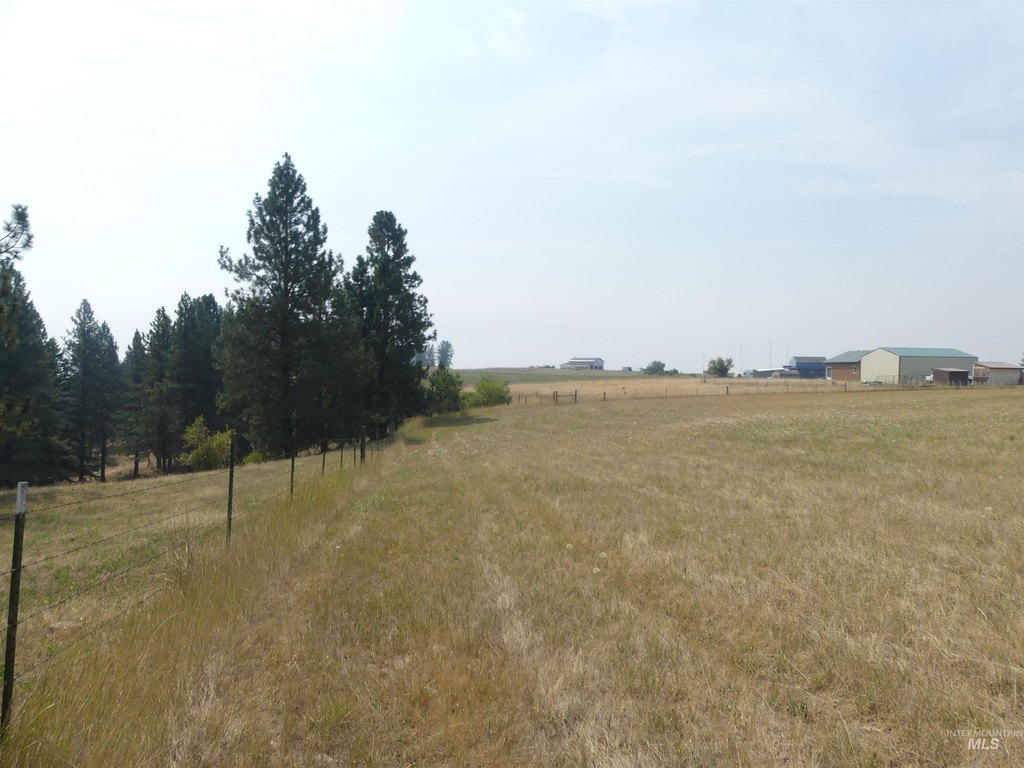 Picture 19