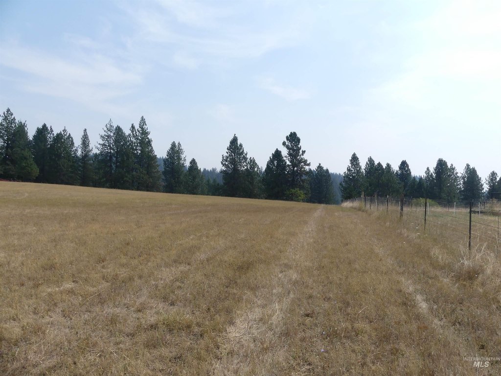 Picture 28
