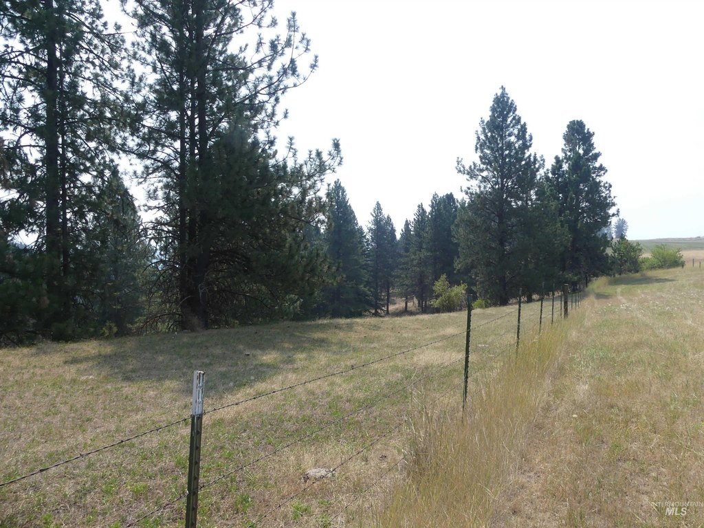 Picture 20