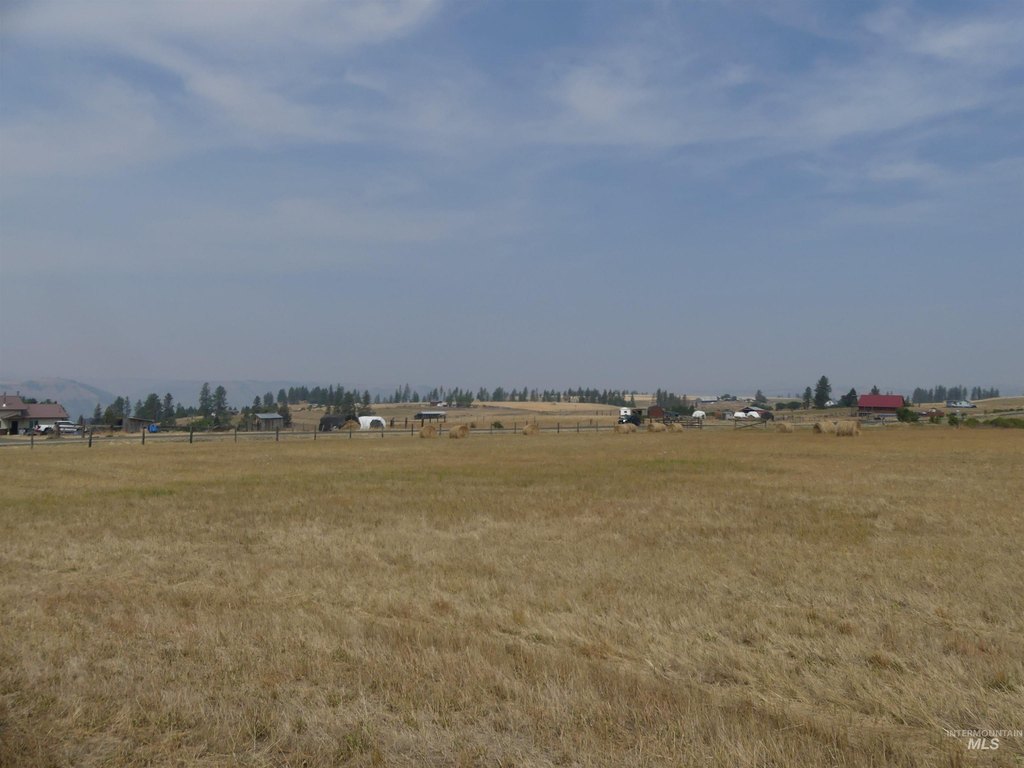 Picture 31