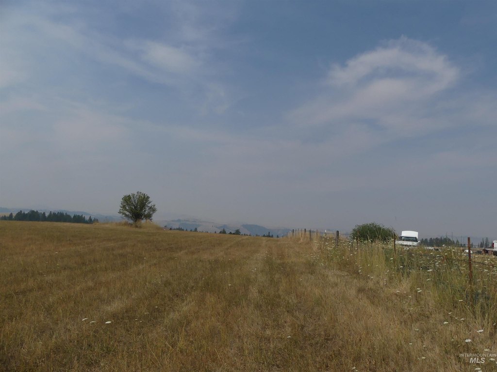 Picture 17
