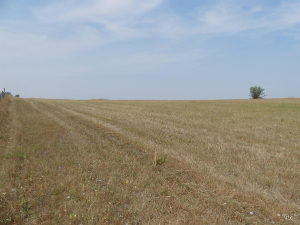 Picture 26