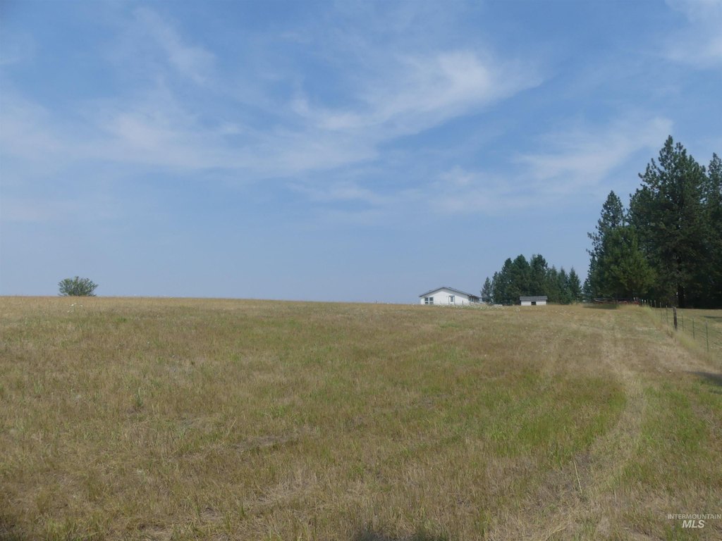 Picture 21