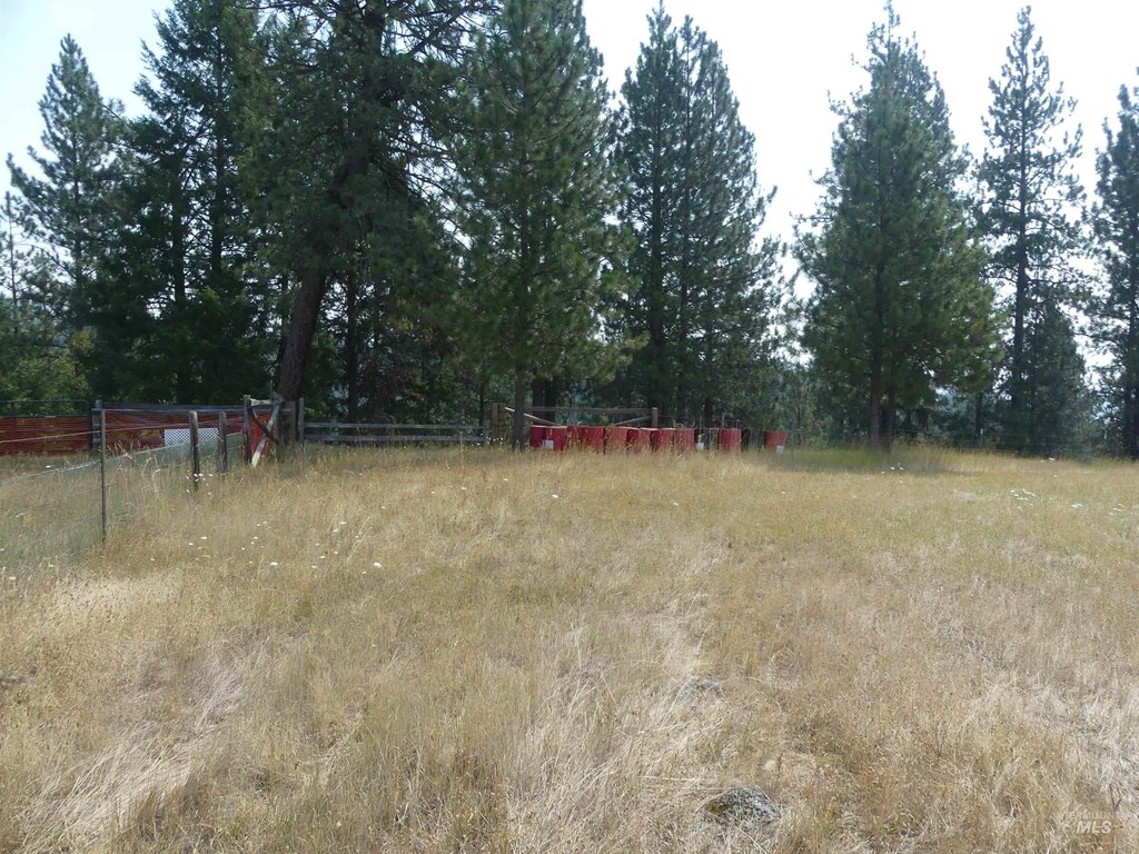 Picture 16