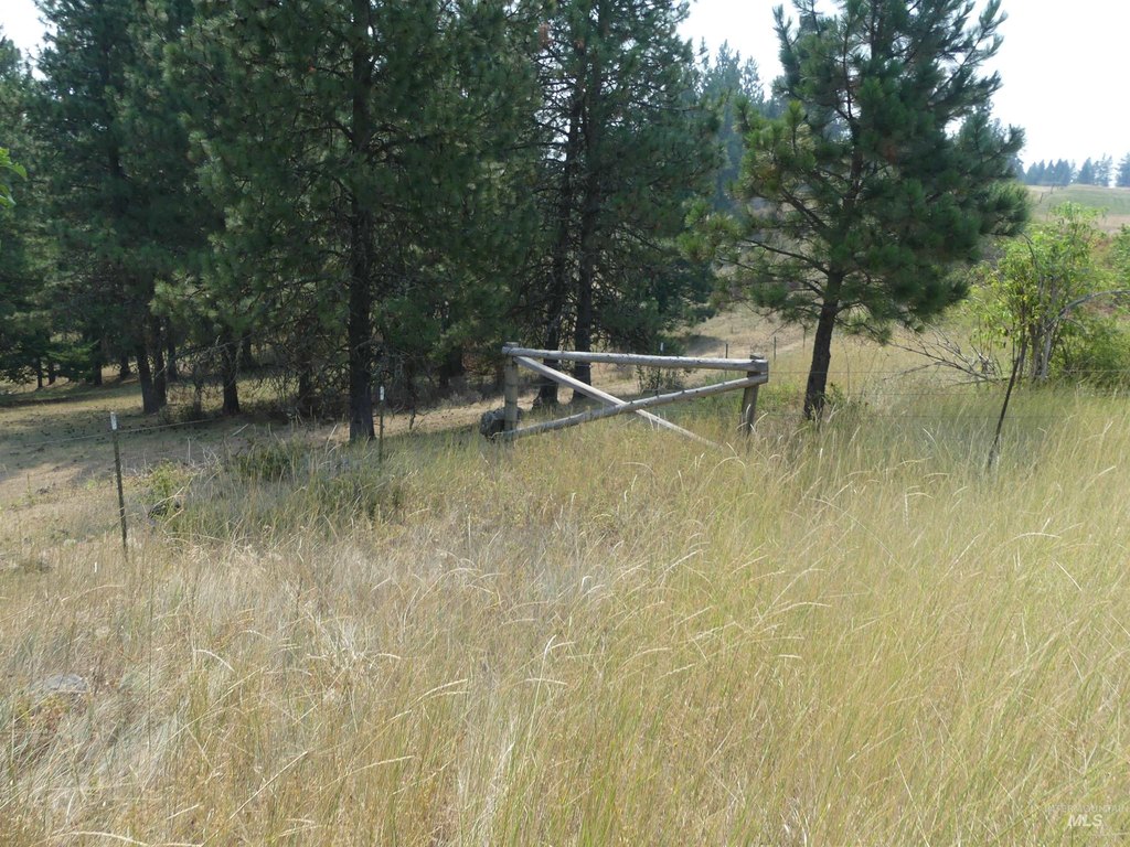 Picture 22
