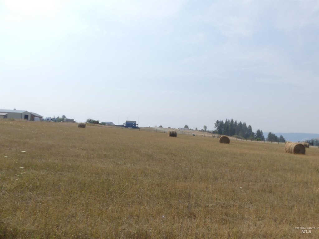 Picture 12