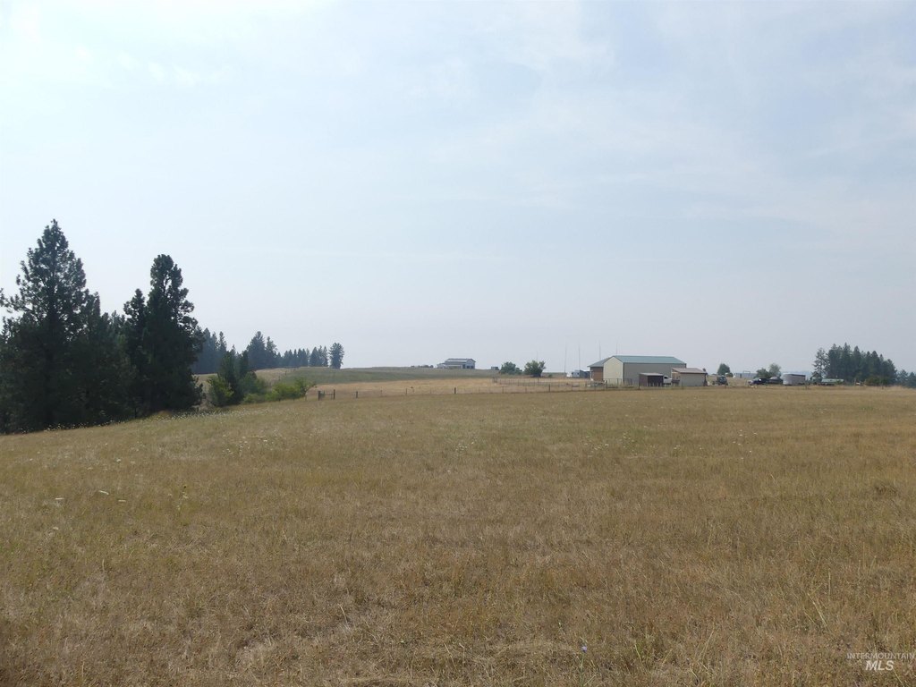 Picture 18