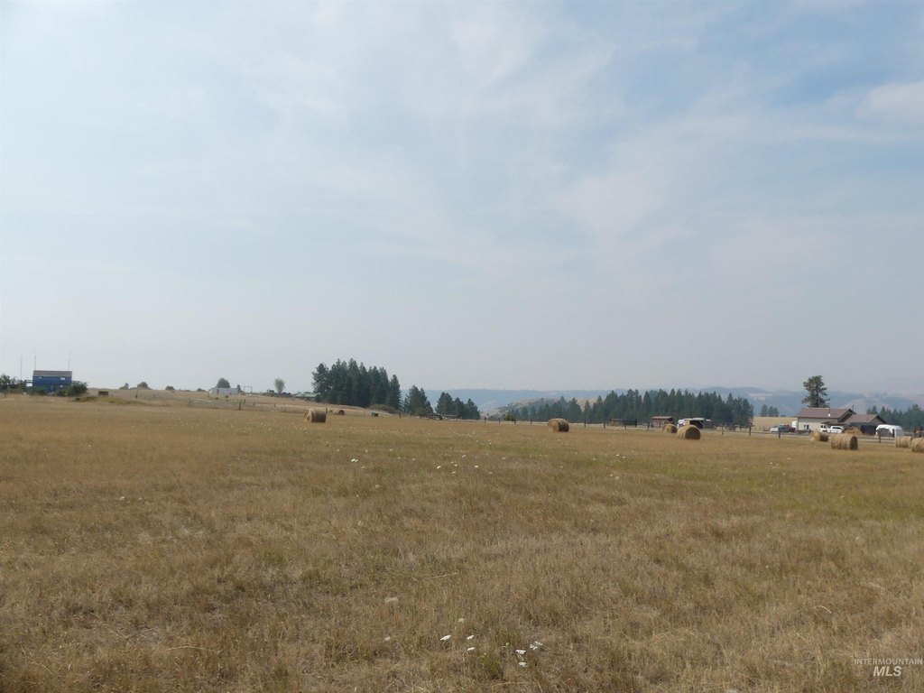 Picture 14