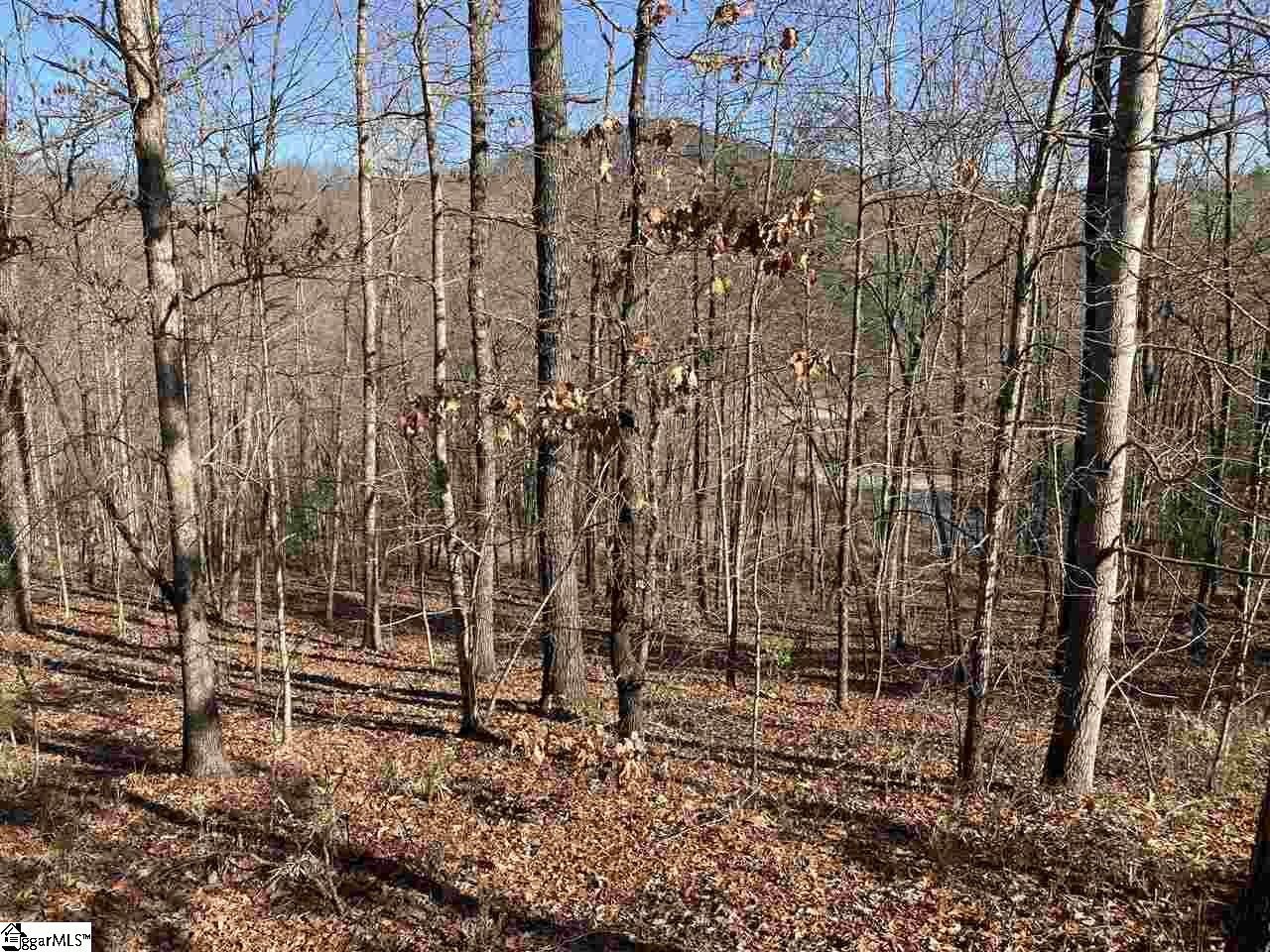 Mountain Park Homesite Opportunity