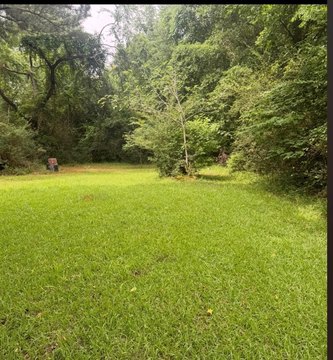LAND - PALESTINE, TX